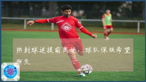 热刺球迷提前离场，球队保级希望渐失