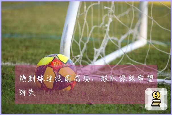 热刺球迷提前离场，球队保级希望渐失