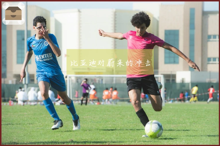 比亚迪对蔚来的冲击